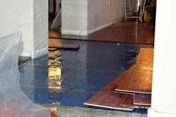 Professional Water Damage Restoration technician working in De Soto, IA